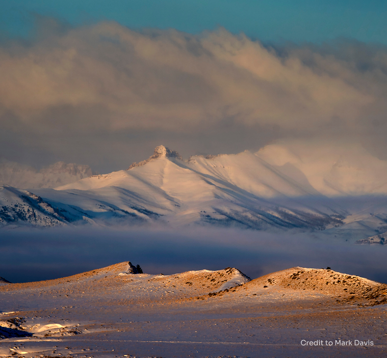 Build a Stronger Wyoming